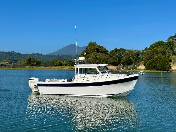 2020 Osprey 24 Talon