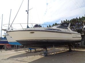 1991 Birchwood SD-34