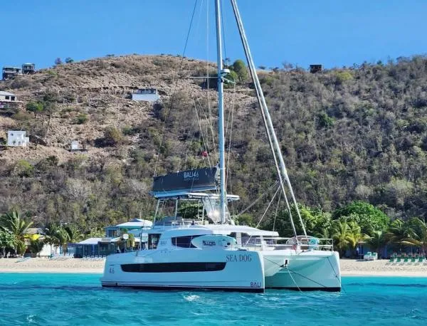 Sea Dog Yacht Photos Pics 2023 Bali 4.6 catamaran anchored near a tropical beach with lush hillside backdrop.