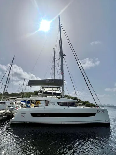 Sea Dog Yacht Photos Pics 2023 Bali 4.6 catamaran "Sea Dog" docked under bright sun, clear sky.