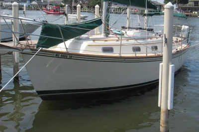Island Packet 31