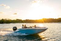 2023 Bayliner M17