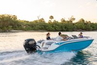 2022 Bayliner M17