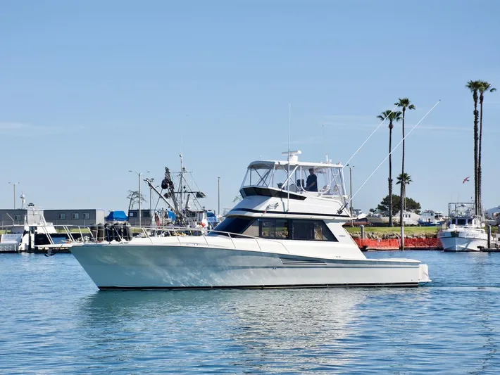 3 Hour Tour Yacht Photos Pics 1989 Viking Convertible yacht docked in a marina with palm trees in the background.