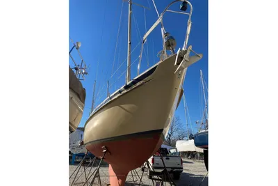 Camper & Nicholsons 31