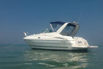 Cruisers 320