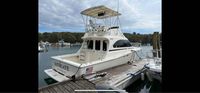 1992 Luhrs 350 Tournament