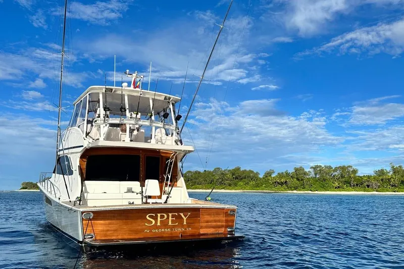 Spey Yacht Photos Pics Viking 57 Convertible yacht on water, clear sky, lush shoreline in background.