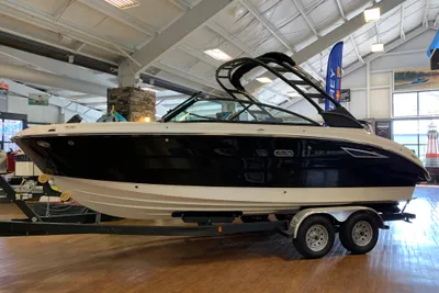 Sea Ray SDX 250
