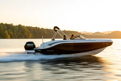 Bayliner DX2000