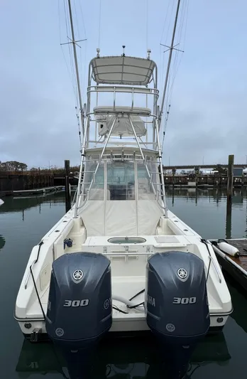 Real Deal Yacht Photos Pics 