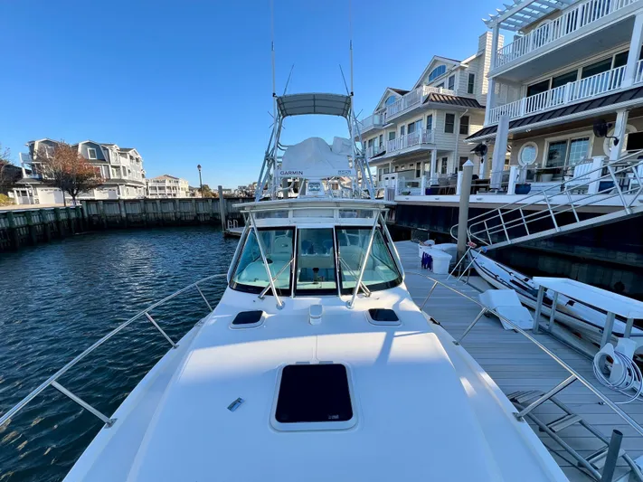 Real Deal Yacht Photos Pics 