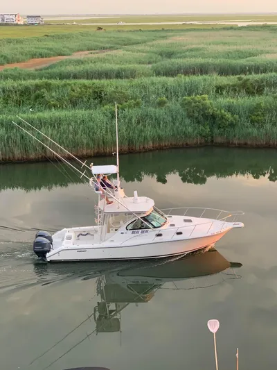 Real Deal Yacht Photos Pics 