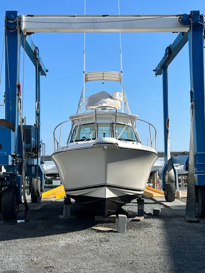 Real Deal Yacht Photos Pics 