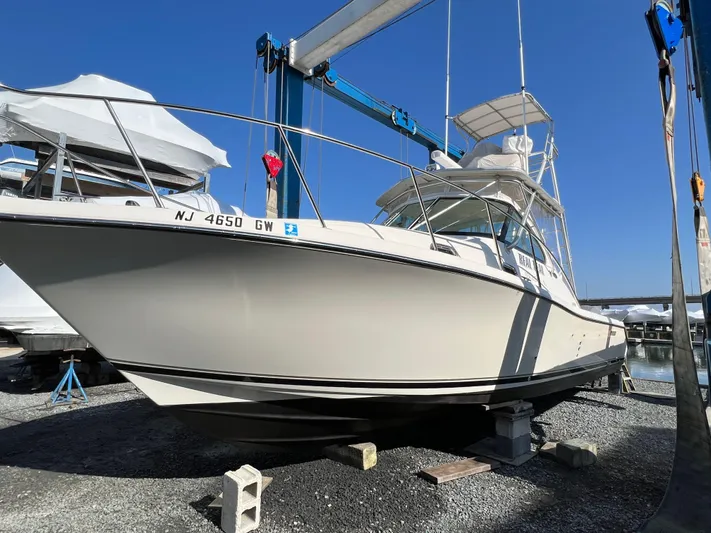 Real Deal Yacht Photos Pics 