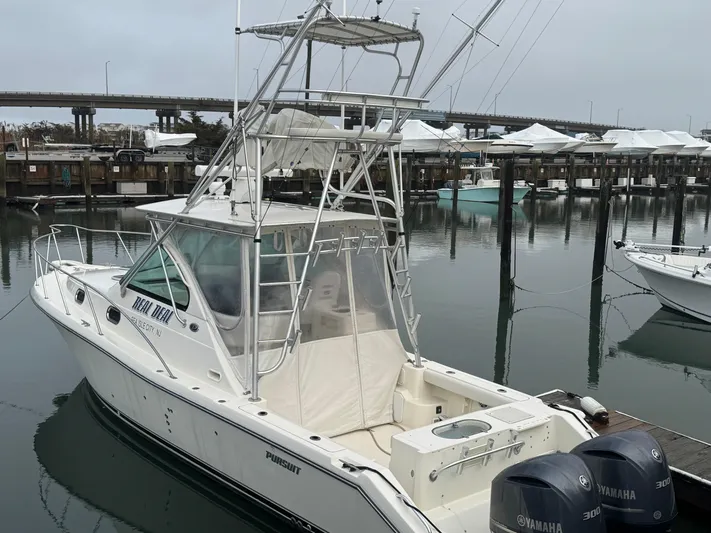 Real Deal Yacht Photos Pics 