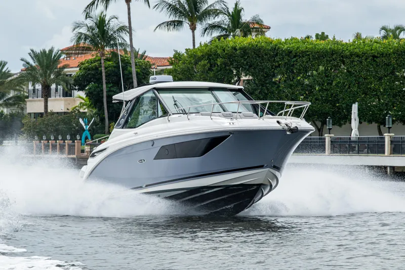  Yacht Photos Pics 2023 Sea Ray Sundancer 320 Outboard cruising on water near palm trees.