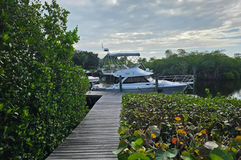Frisky Yacht Photos Pics Boat docked by lush greenery, Cuwater C-32-CB, 2022 model, under cloudy sky.