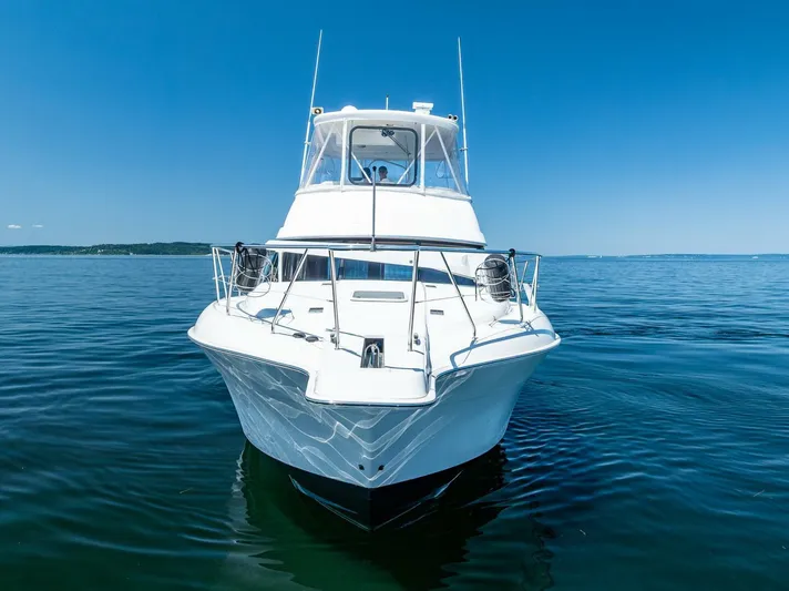 Bumber Shoot Yacht Photos Pics 