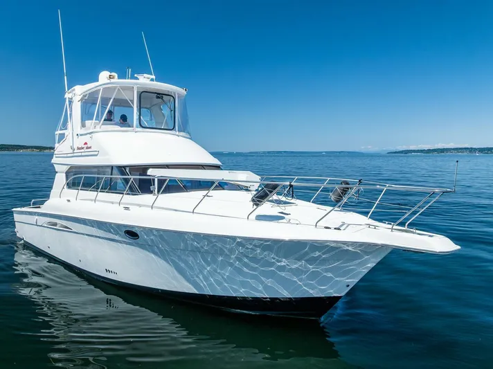 Bumber Shoot Yacht Photos Pics 
