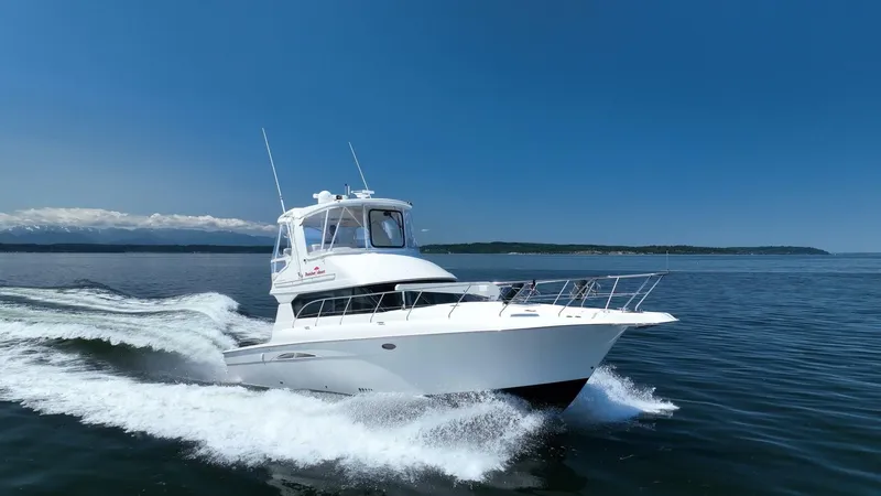 Bumber Shoot Yacht Photos Pics 