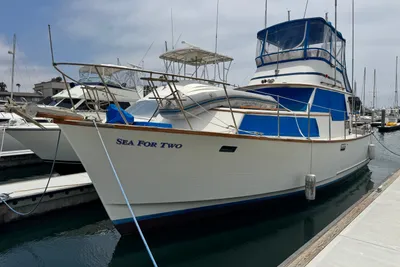 Rough Water Flybridge