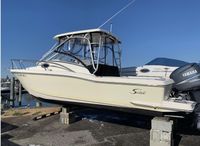 2005 Scout 242 Abaco
