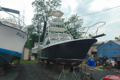 Black Watch Sportfish