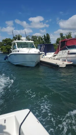  Yacht Photos Pics 