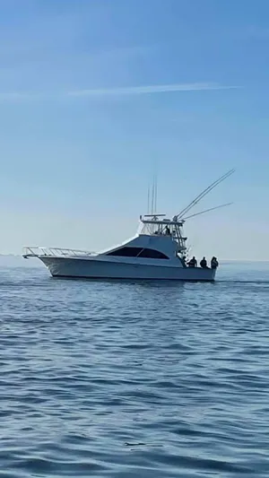 Open Wide Yacht Photos Pics 