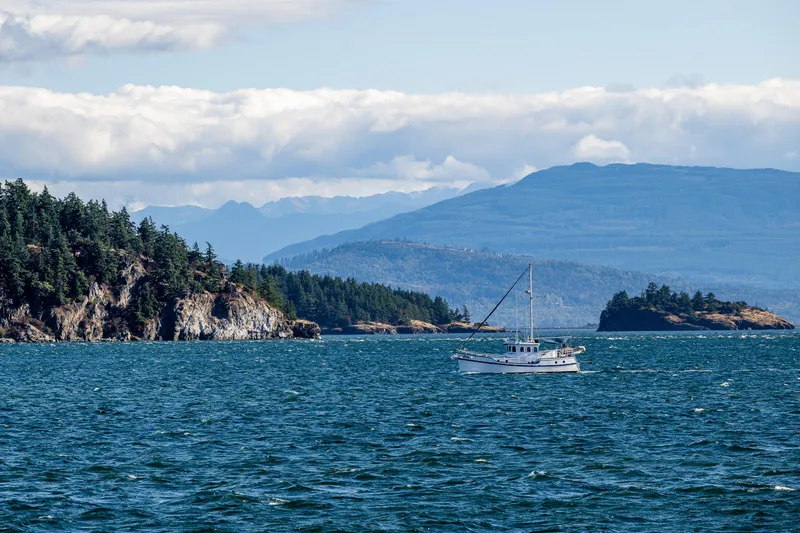 Zeta Yacht Photos Pics Sailboat Diesel Duck 41-Plus (2009) cruising near forested islands and mountains under cloudy sky.