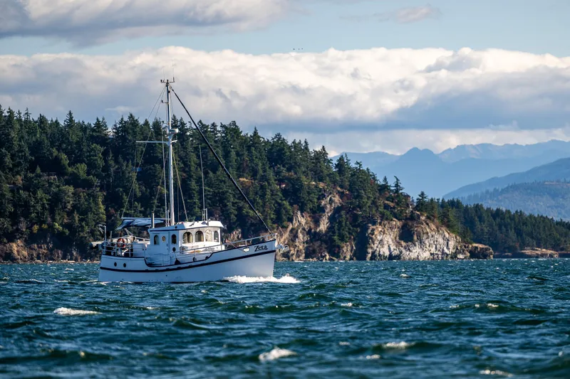 Zeta Yacht Photos Pics 2009 Diesel Duck 41-Plus boat cruising near forested coastline under cloudy sky.