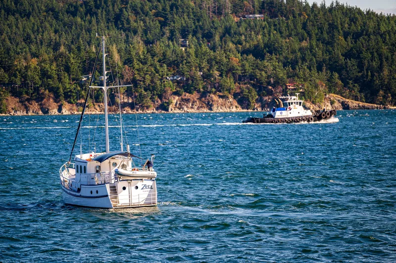 Zeta Yacht Photos Pics 2009 Diesel Duck 41-Plus boat on scenic water with forested shoreline.