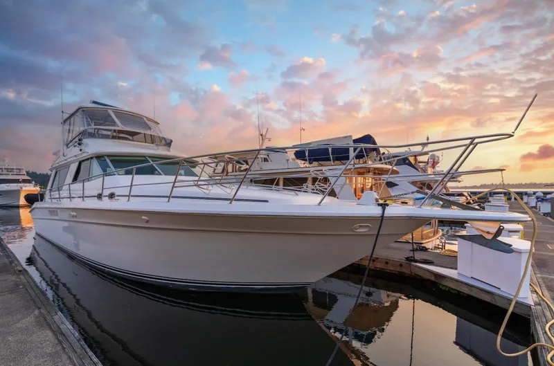 Too Many Options Yacht Photos Pics 1993 Sea Ray 550 Sedan Bridge yacht docked at sunset, reflecting on calm water.