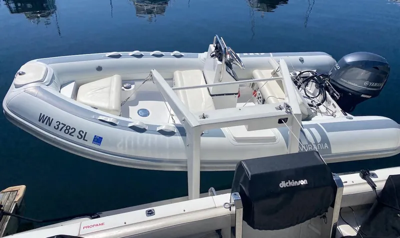 Too Many Options Yacht Photos Pics 