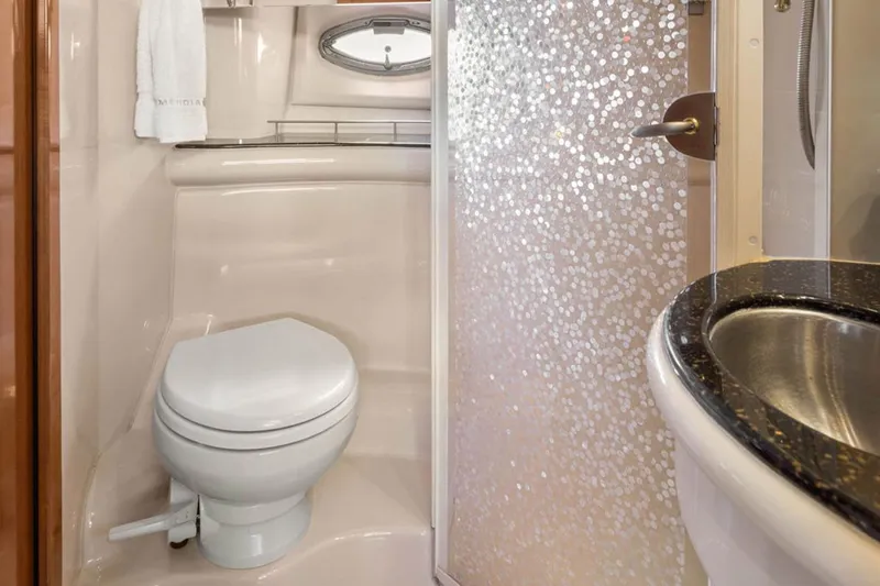 Bella Vita Yacht Photos Pics 2008 Meridian 408 Motoryacht bathroom with toilet, sink, and decorative shower door.
