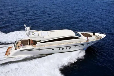 Arno Leopard 31