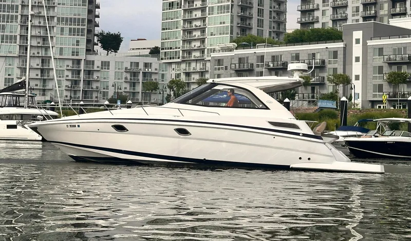Nauti Dog Yacht Photos Pics 