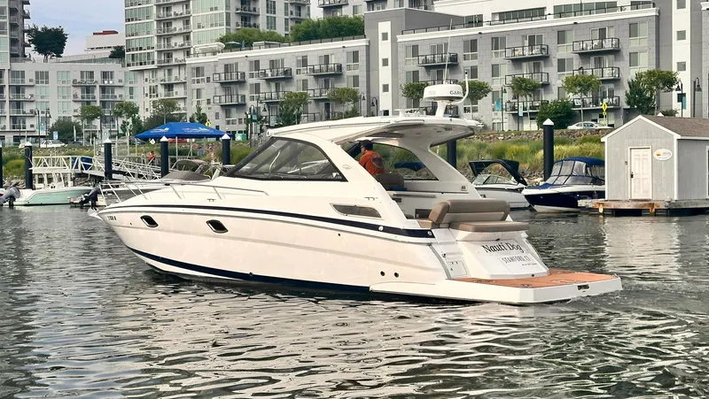 Nauti Dog Yacht Photos Pics 