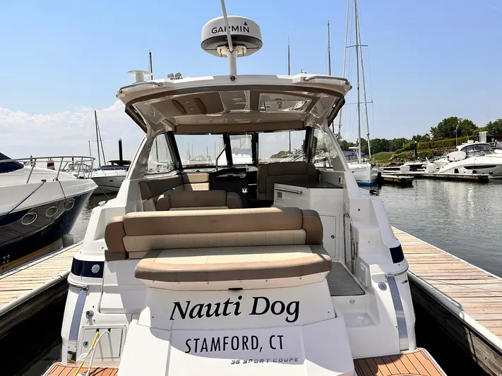 Nauti Dog Yacht Photos Pics 