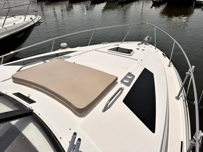 Nauti Dog Yacht Photos Pics 