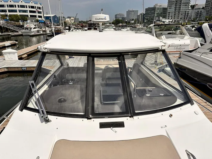 Nauti Dog Yacht Photos Pics 