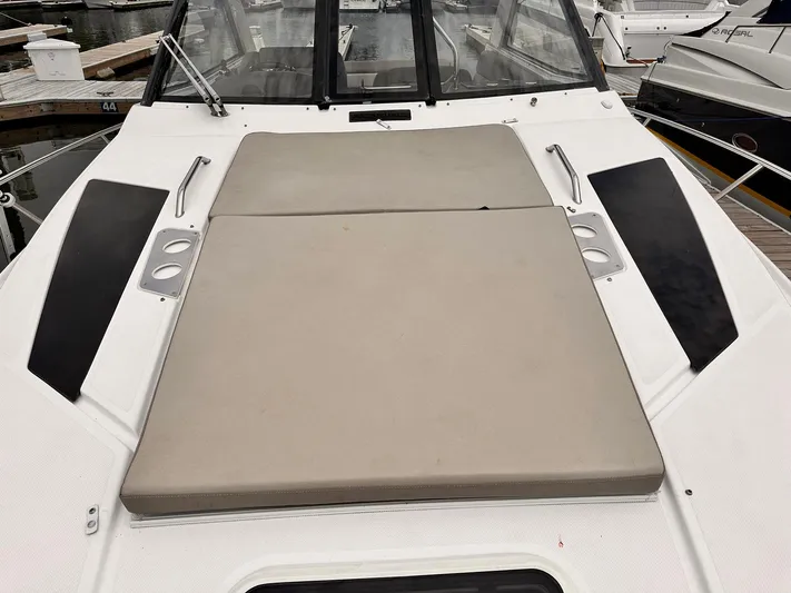 Nauti Dog Yacht Photos Pics 