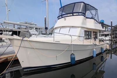 Mainship 34