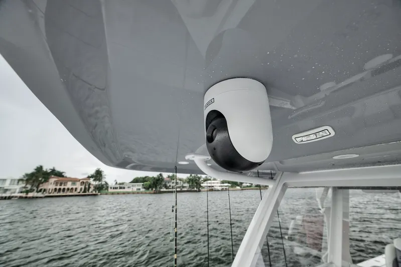 Looney Tune Yacht Photos Pics 