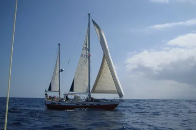 Wauquiez Amphitrite