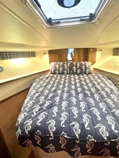 First Light II Yacht Photos Pics 1998 Tiara Yachts 3500 Open cabin with seahorse-patterned bedding.