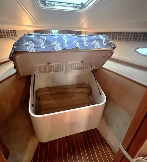 First Light II Yacht Photos Pics 1998 Tiara Yachts 3500 Open cabin interior with storage and seahorse-patterned bedding.