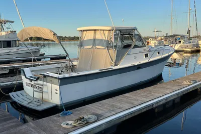 Luhrs 30 Alura