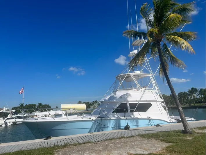  Yacht Photos Pics 1990 Hatteras 45 Convertible yacht docked by palm tree under clear blue sky.